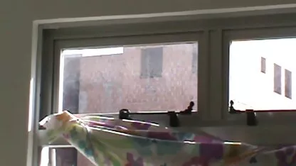 Volwassen zuster porno films trio kreunende penis gelukkige man